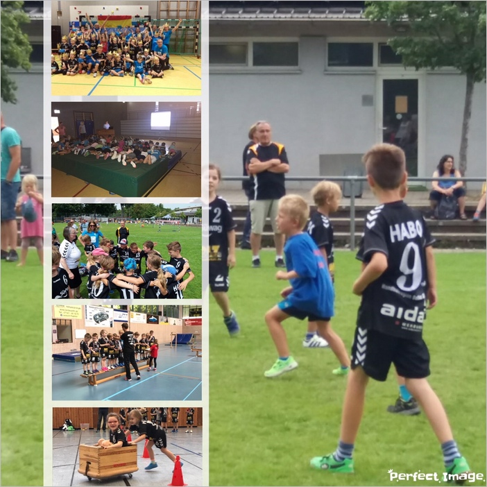 TV Abteilung Handball: Minis und F-Jugend